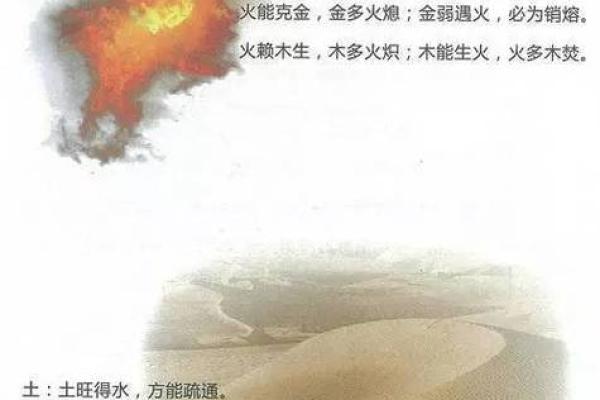 火命与木命的深刻解析：五行文化中的生命密码