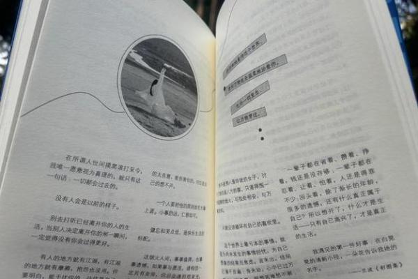 探寻1984年正月29日的命运奥秘与人生哲学 探寻1984年正月29日的命运奥秘与人生哲学