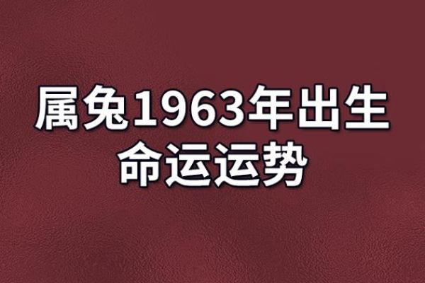 2023年运势解析：如何把握命运的脉搏与方向！