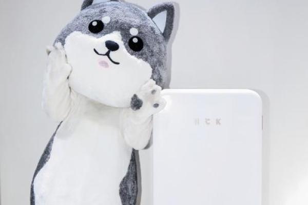 2018年狗宝命运解析：如何挖掘其独特的命理机会与挑战