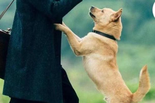 1986年1月2日出生的人：命运与人生的精彩旅程