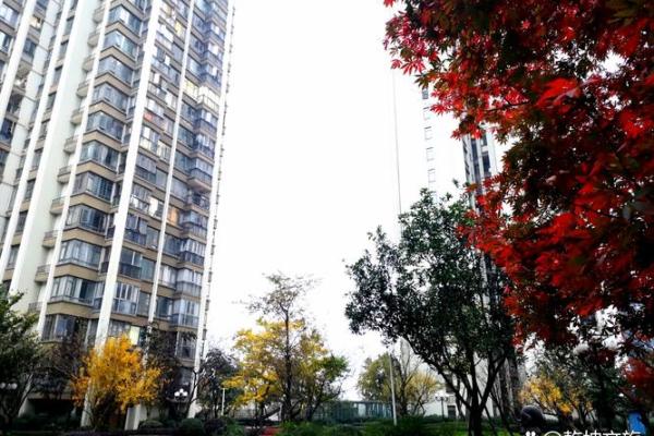 土命与最佳搭配：探索命理中的和谐之道