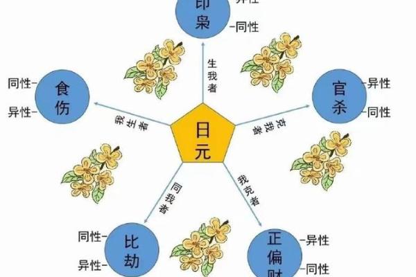 1987年阳历出生的人命理分析：命格与人生轨迹探讨