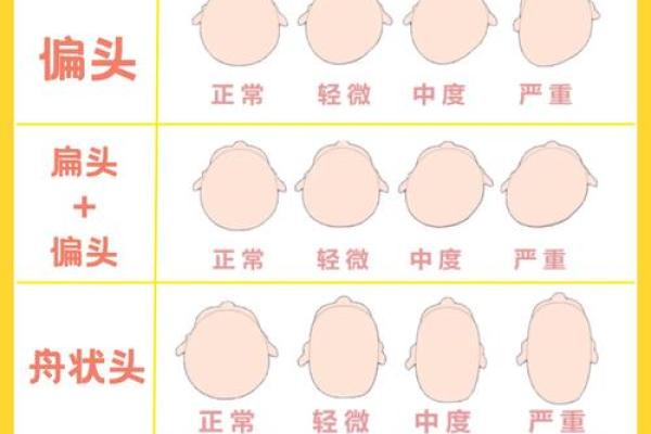 头骨圆润,命运如何?揭秘头型与性格关系 头骨圆润,命运如何?揭秘头型与性格关系