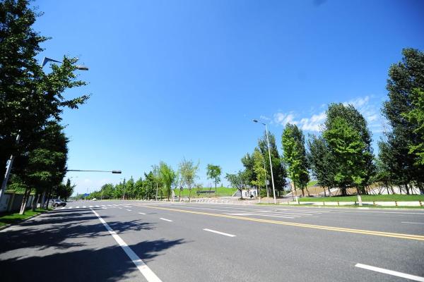 19950818命运解析：如何掌握自己的未来与幸福底色