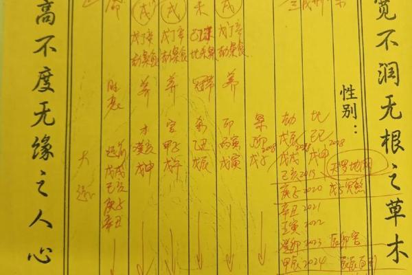 1976年土命人士的命理分析与补救措施探讨