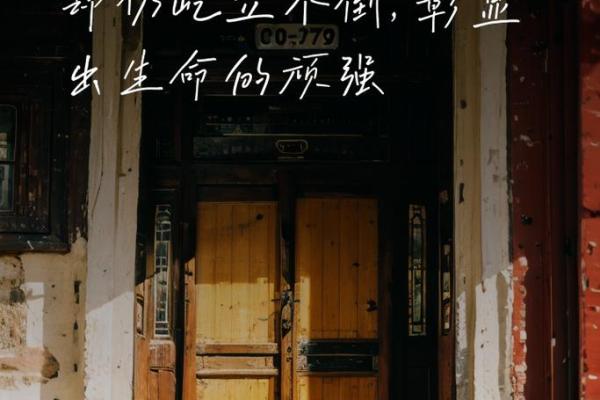 命运掌控在自己手中，走出人生的迷雾与阴霾