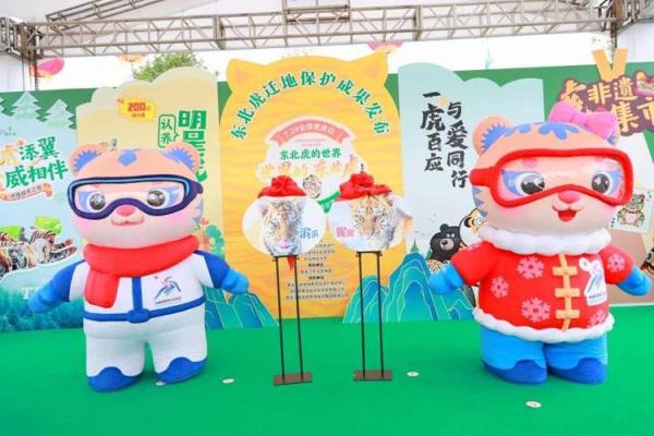 探秘路旁土命与火命的深意：命理中的奇妙结合