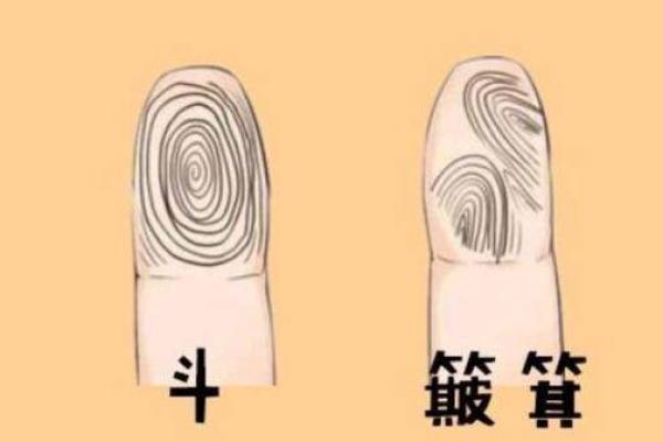 揭开全是簸箕的人命格之谜:他们的性格与命运分析 揭开全是簸箕的人命格之谜:他们的性格与命运分析