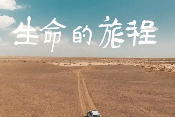 19881230：命运的密码与人生的旅程