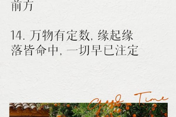 探寻命运的奥秘：为何我们无法改变命运？