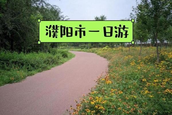 城墙土命虎女：解析命理中的缺失与提升之道