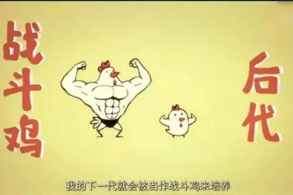 2017鸡年命理解析:鸡年出生的人格特征与命运解析 2017鸡年命理解析:鸡年出生的人格特征与命运解析