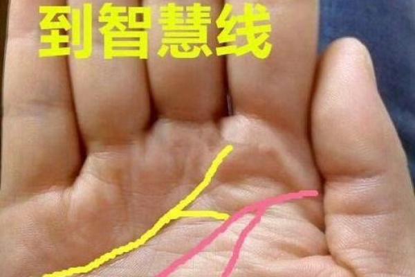 71年是水命还是金命？解读你的命格与生活智慧