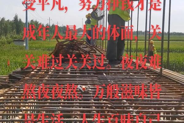 前世丫鬟今生命:命运的轮回与人生的选择 前世丫鬟今生命:命运的轮回与人生的选择