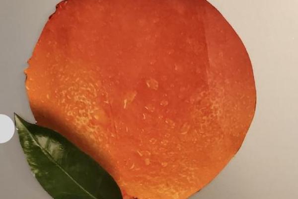 虚实结合，慧眼识真——探索生活中的虚与实