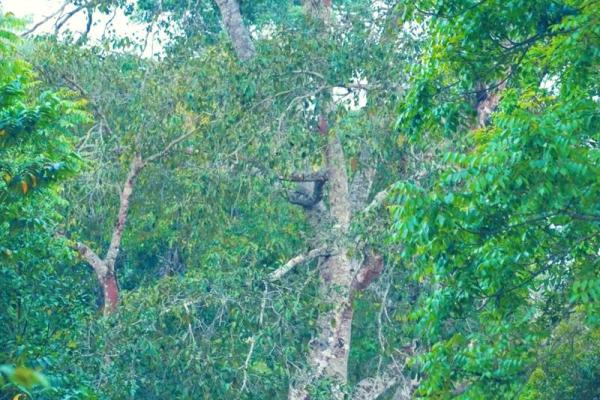 与世无争的人生哲学:宁静而致远的智慧之路 与世无争的人生哲学:宁静而致远的智慧之路