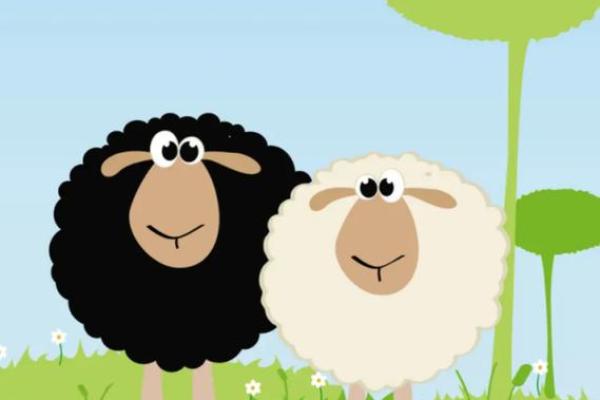 探秘2003年出生的羊儿命运:性格、运势与人生道路 探秘2003年出生的羊儿命运:性格、运势与人生道路