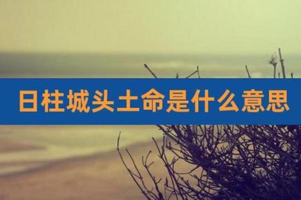 结婚最佳命理搭档：城墙土命与哪些命理最合适