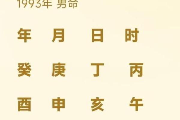 1993年出生的人属什么命？揭秘其命运与性格特点！