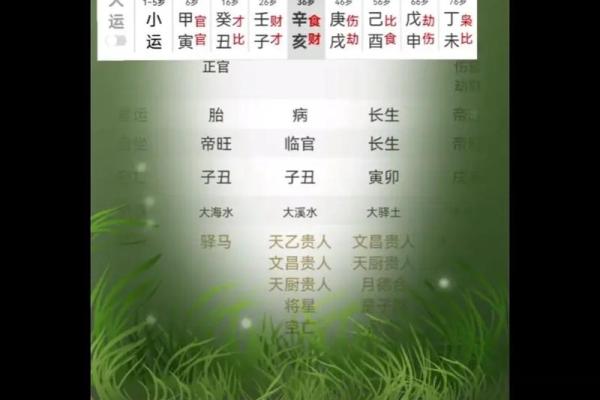 庚午命：探讨庚午命与其他命理的最佳配对之道