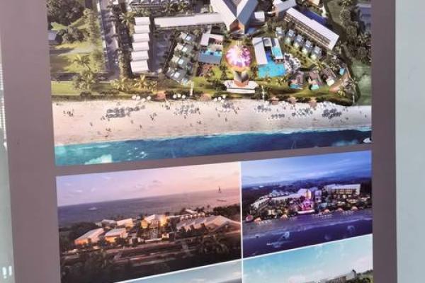 19670815这个日期的命运解析：星辰与人生的巧妙交织