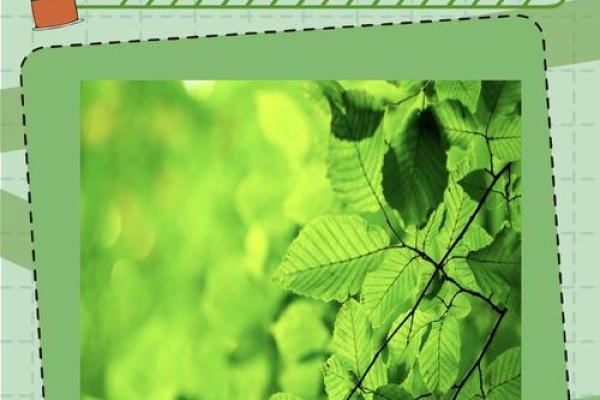 巽命在三元命图中的意义与解读:探索命运的奥秘 巽命在三元命图中的意义与解读:探索命运的奥秘