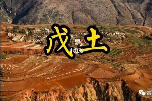 找寻干爹：己土命人的最佳命主选择与调和之道