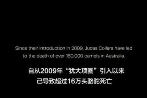 骆驼命：关于生命韧性与适应力的思考