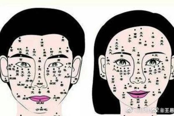 探讨女性身体特征与命运之间的关系——圆形奶与女性命运的潜在联系