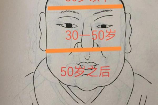 809000命格详解：揭示人生的运势与挑战
