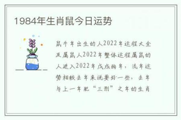 2020属鼠年命理解析：揭秘你的命格与生辰搭配