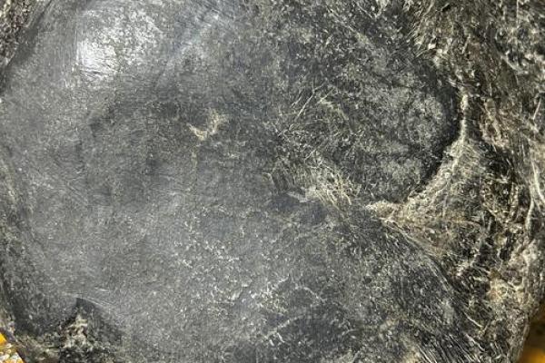 正宫娘娘的命：荣耀与孤独的交织，揭示古代女性的真实命运