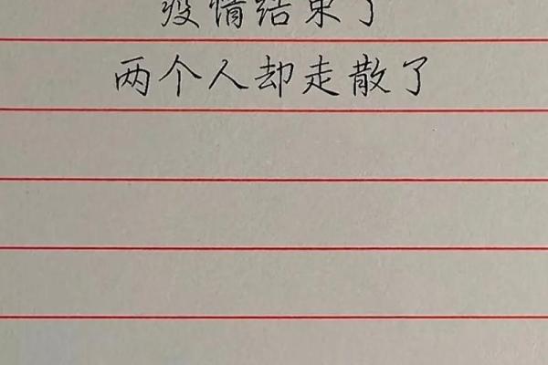 囫囵吞枣，细品人生的滋味与哲理