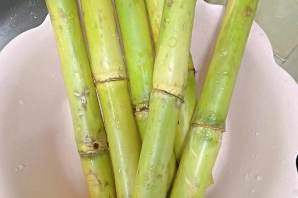 解读2004年出生者的命格特点与人生走向