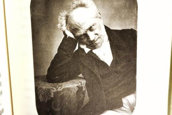 19801123命理解析:探寻人生的智慧与转机 19801123命理解析:探寻人生的智慧与转机