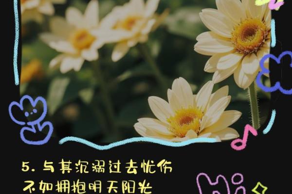 大海金命的方向选择:如何为人生航行指引航向 大海金命的方向选择:如何为人生航行指引航向