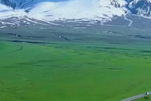 爱命如你,爱你如命:爱的真谛与生活的哲思 爱命如你,爱你如命:爱的真谛与生活的哲思