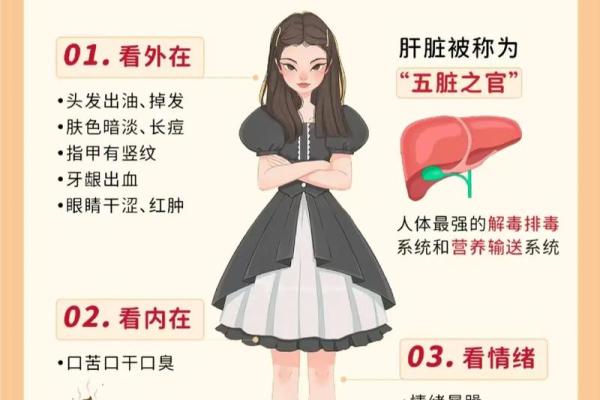 中医视角下肺脾之命:阴阳调和的生命密码 中医视角下肺脾之命:阴阳调和的生命密码