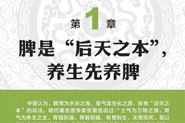 中医视角下肺脾之命:阴阳调和的生命密码 中医视角下肺脾之命:阴阳调和的生命密码