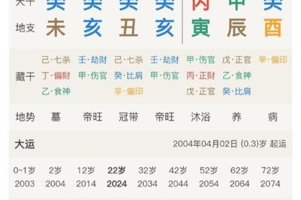 如何通过出生年份算命，揭示你的命运之路