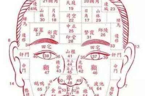 什么面型就是什么命：面相与命运的神秘关系