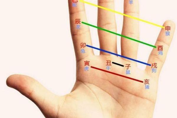 食指长短如何决定命运中的秘密与智慧