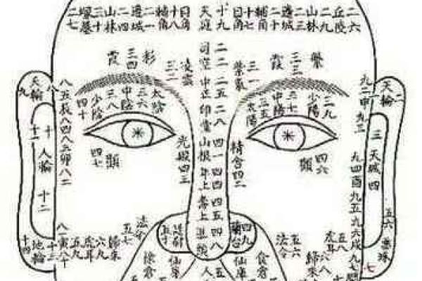 什么面型就是什么命：面相与命运的神秘关系