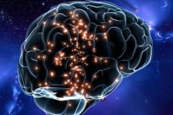 贱命与烂命：生活价值观的深刻探讨