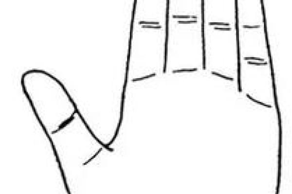 探寻辛酉日柱女命的最佳配偶特征与命运解析 探寻辛酉日柱女命的最佳配偶特征与命运解析