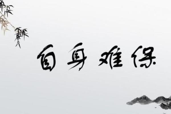 命太难的成语与人生哲学的深刻反思 命太难的成语与人生哲学的深刻反思