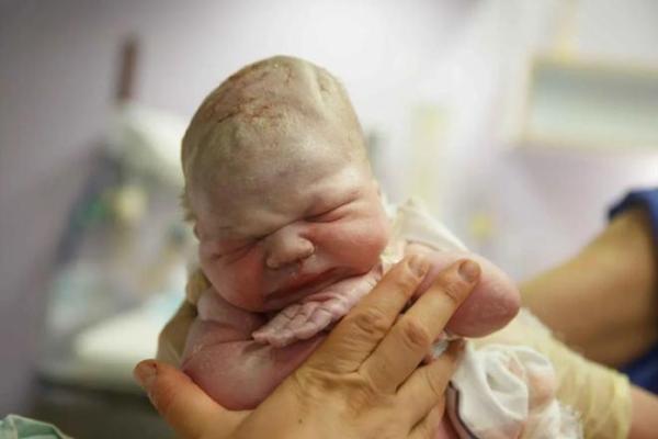 2009年出生的孩子：属于什么属性与命运的奇妙探索