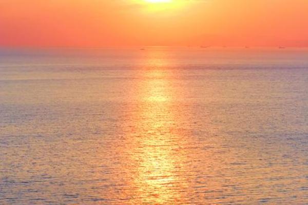 19860318出生的命运分析：揭示独特人生轨迹与性格魅力