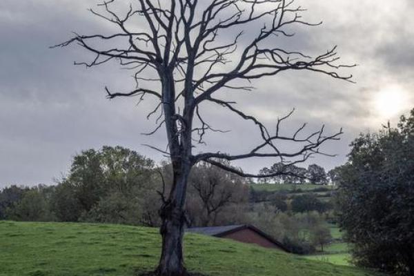 20231130：这个日期蕴含的生活哲学与命运启示